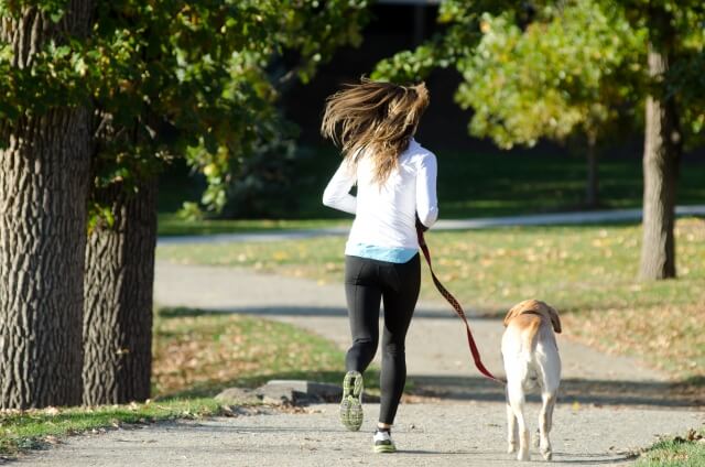 犬とランニング